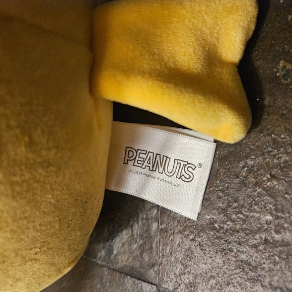 WOODSTOCK *Original Squishmallow* PEANUTS 2024 Valentines Edition. 8" - Picture 3 of 5